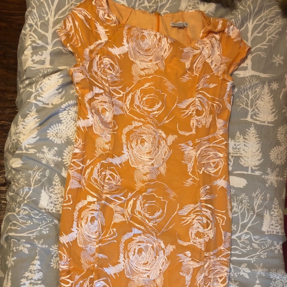 Cocktail dress from Eva Mendez collection size 14